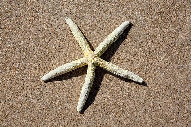 任天堂宣布新款OLED版Switch将于9月24日开启预购10月8日发售